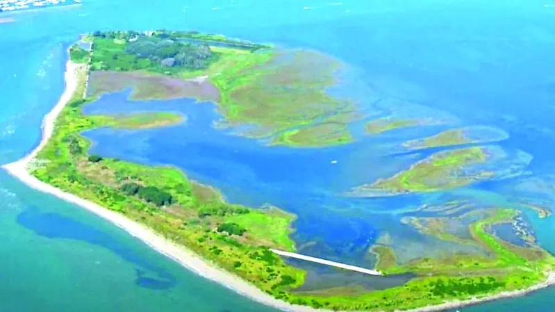 L’Isola della Marinetta, meglio nota come Isola delle Conchiglie: è stata venduta all’asta il 3 ottobre
