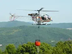 foto da sito Regione Toscana