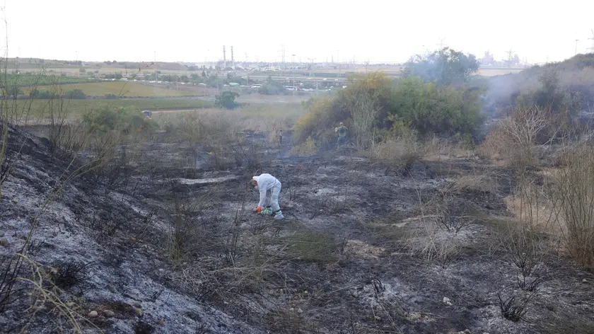 epa11605237 Israel Police Bomb Disposal Unit examines the scene of a surface-to-surface missile hit near Kfar Daniel, central Israel, 15 September 2024. According to the Israeli Defence Forces (IDF) a surface-to-surface missile fired from Yemen landed in an open field outside the village of Kfar Daniel. No injuries were reported, the IDF added. EPA/ABIR SULTAN
