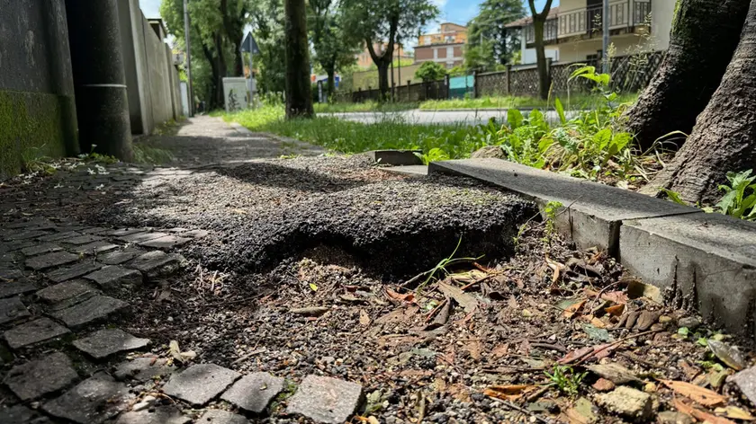 L'area è quella tra via Codroipo e via Gorizia a Udine