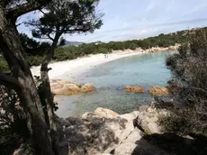 spiaggia capriccioli - costa smeralda