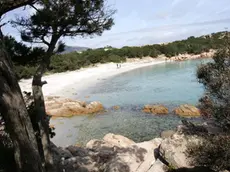 spiaggia capriccioli - costa smeralda