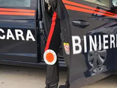 foto generica