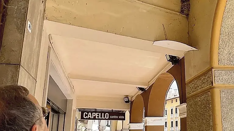 Un nido di rondini sotto i portici del centro di Sacile