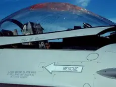 Gli effetti di un bird strike su un aereo F-16