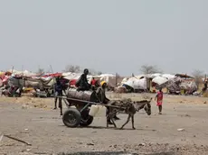 epa10628090 A local boy drives a donkey cart to sell water to South Sudanese returnees who fled the war in Sudan, camping outside the Orthodox Church in the Upper Nile State town of Renk, South Sudan, 14 May 2023. The grounds of the Orthodox Church in Renk are home to some hundreds of South Sudan returnees from the Christian Orthodox minority. They were brought in by transport sent by the South Sudan government. ‘One morning we came and they were all here, they built shelters with tree wood pieces and women's clothes fabric; the challenge now is to provide them with food and water as there is none here’, a church worker said, asking not to be named. The returnees sleep in the open area under extremely hot temperatures, a usual occurrence before the rainy season. Most have come with very little and do not know where they will go next. According to the United Nations, some 200,000 people have fled the conflict in Sudan between 15 April and 12 May 2023. Most of them left towards neighboring countries such as Egypt, Tchad, South Sudan or Ethiopia, and about two million people were internally displaced. On Sunday 14 May, the faithful found solace at mass guided by father Michael and prayed for a solution to their unexpected predicament. Leaving behind them the armed conflict between the Sudanese military and the RSF (Rapid Support Forces) militia, most of the refugees in South Sudan are South Sudanese returnees, part of the some 800, 000 who had previously fled the war in South Sudan and who are now returning to a country which is barely out of conflict itself, with tensions still remaining in many areas. EPA/AMEL PAIN ATTENTION: This Image is part of a PHOTO SET