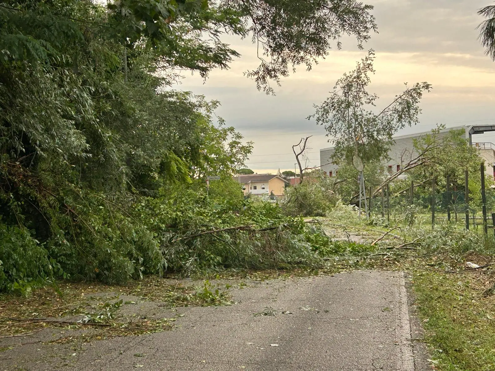 Ecco le immagini dalla Bassa friulana, colpita dall'ondata di maltempo che si è abbattuta sulla regione: le foto da Carlino, San Giorgio di Nogaro e Torviscosa