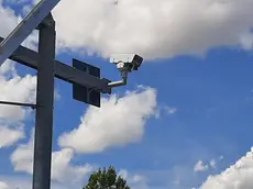 Autovelox su una strada. Un 'vendicatore' (o più di uno) dell'autovelox si aggira nel Polesine. Sono 4 gli impianti di controllo elettronico della velocità abbattuti negli ultimi due mesi lungo le strade della provincia di Rovigo. Si tratta dei velox posizionati sulla verticale della strada, montati pali di acciaio, che sono stati segati alla base con un flessibile, in ore notturne. Si suppone si tratti di atti di ritorsione per le multe, più che di puri atti vandalici. Un allarme per i sindac i dei Comuni che gestiscono gli impianti (e incassano le somme delle contravvenzioni), che promettono di reinstallarli quanto prima. ANSA/MICHELE GALVAN
