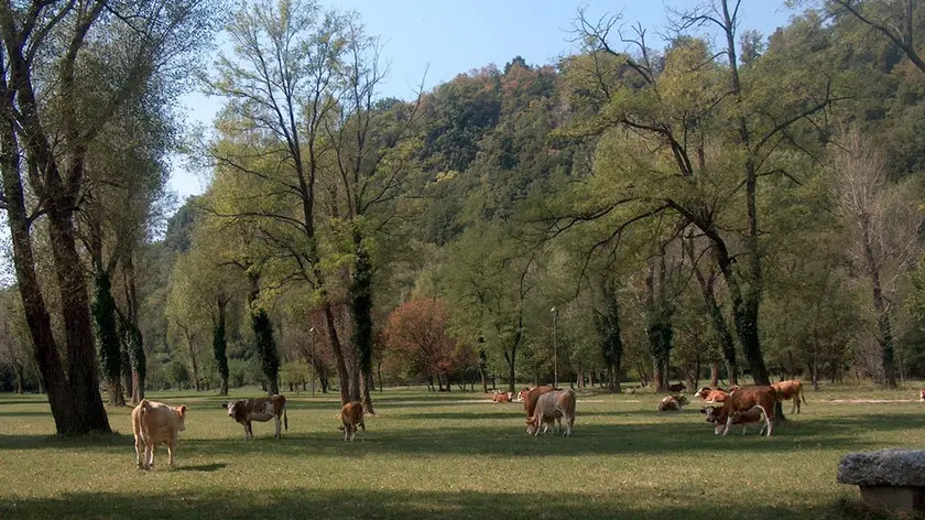 Il parco del Rivellino a Osoppo
