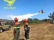 Canadair