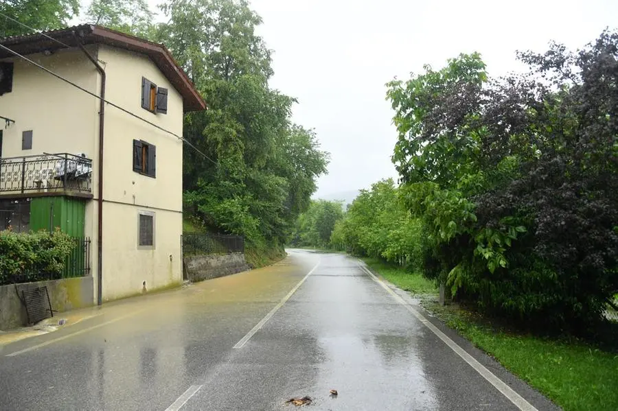 Clenia (Cividale)
