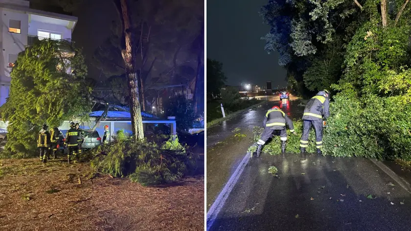 Un albero caduto sulla tettoia di un garage dell'hotel Capanna d'oro a Lignano e Vigili del fuoco impegnati a Sedegliano