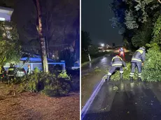 Un albero caduto sulla tettoia di un garage dell'hotel Capanna d'oro a Lignano e Vigili del fuoco impegnati a Sedegliano