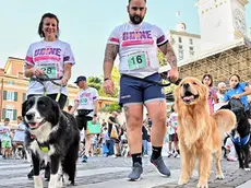 Alcuni dei partecipanti alla corsa a "sei zampe" della Maratonina di Udine (Foto Petrussi)