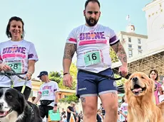 Alcuni dei partecipanti alla corsa a "sei zampe" della Maratonina di Udine (Foto Petrussi)