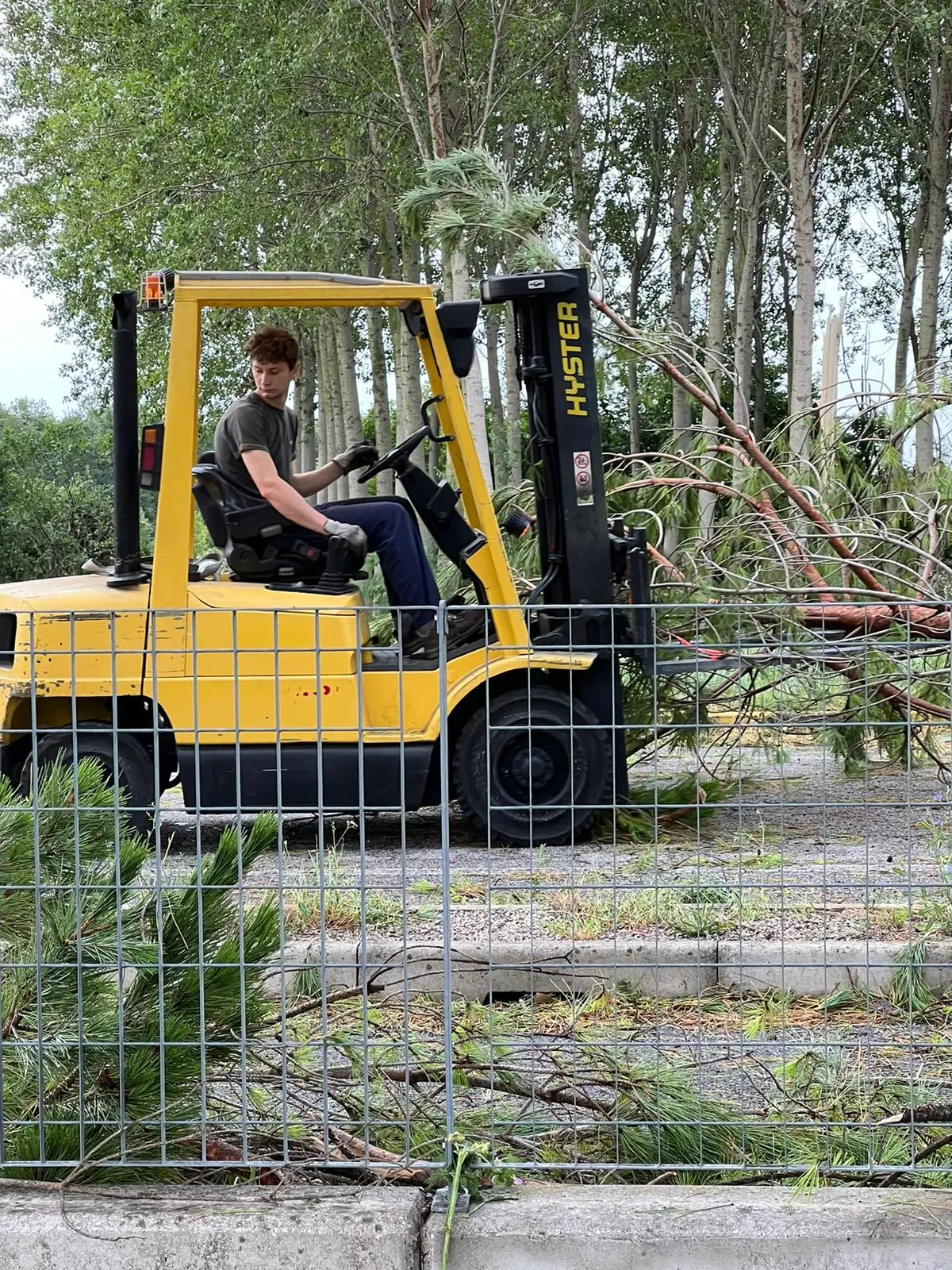 Ecco le immagini dalla Bassa friulana, colpita dall'ondata di maltempo che si è abbattuta sulla regione: le foto da Carlino, San Giorgio di Nogaro e Torviscosa