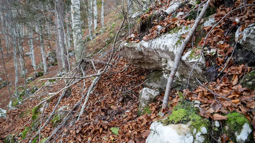 Il corpo di Giulia Cecchettin era nascosto sotto una roccia (Foto Brisotto/Petrussi)