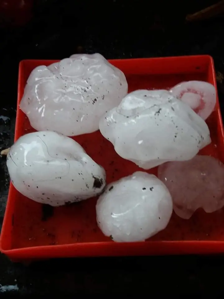 Foto di Luciana Licata scattata a Nogarole Rocca e pubblicata su BPP Meteo - Bassa Pianura Padana