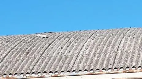Codroipo, Udine e Lignano sono i Comuni più colpiti dal fenomeno