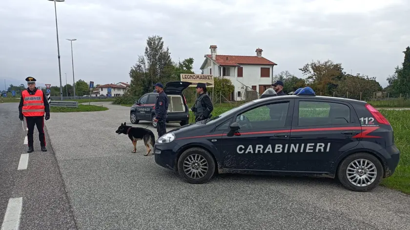 Il cane antidroga dei carabinieri ha scoperto hashish nella scuola alberghiera di Aviano