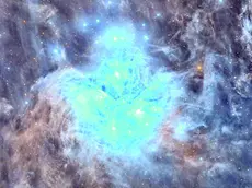 L’immagine delle Pleiadi realizzata da Francesco Pelizzo e pubblicata sul sito Apod della Nasa