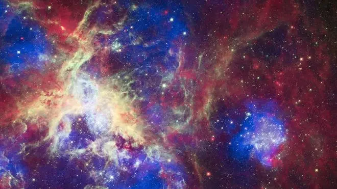 epa03193608 Image released by the NASA 23 April 2012 of the Tarantula Nebula. The NASA released the picture with the following text: To celebrate its 22nd anniversary in orbit, the Hubble Space Telescope released a dramatic new image of the star-forming region 30 Doradus, also known as the Tarantula Nebula because its glowing filaments resemble spider legs. A new image from all three of NASA's Great Observatories--Chandra, Hubble, and Spitzer--has also been created to mark the event. The nebula is located in the neighboring galaxy called the Large Magellanic Cloud, and is one of the largest star-forming regions located close to the Milky Way. At the center of 30 Doradus, thousands of massive stars are blowing off material and producing intense radiation along with powerful winds. The Chandra X-ray Observatory detects gas that has been heated to millions of degrees by these stellar winds and also by supernova explosions. These X-rays, colored blue in this composite image, come from shock fronts--similar to sonic booms--formed by this high-energy stellar activity. The Hubble data in the composite image, colored green, reveals the light from these massive stars along with different stages of star birth, including embryonic stars a few thousand years old still wrapped in cocoons of dark gas. Infrared emission data from Spitzer, seen in red, shows cooler gas and dust that have giant bubbles carved into them. These bubbles are sculpted by the same searing radiation and strong winds that comes from the massive stars at the center of 30 Doradus. EPA/NASA HANDOUT HANDOUT EDITORIAL USE ONLY