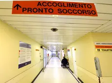 Foto Bruni Trieste 21.12.16 Pronto soccorso Cattinara