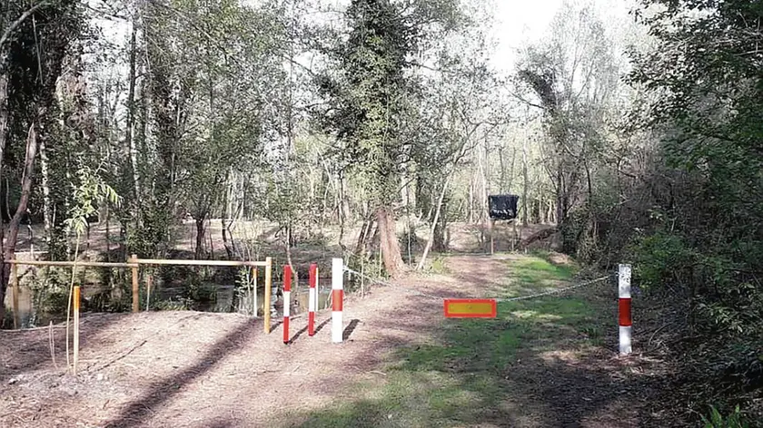 Una veduta del grande bosco che viene curato dall’Associazione Naturalistica Cordenonse