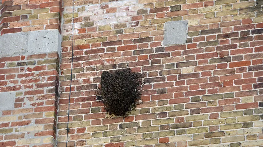 Udine 16 MAGGIO 2017 torre duomo favo Copyright Petrussi Foto Press Turco Massiimo