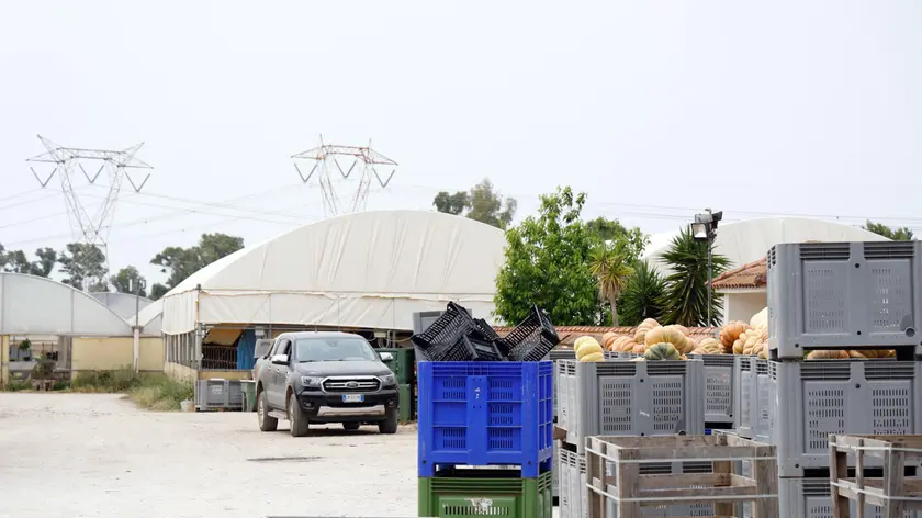 L'Azienda agricola Lovato a Borgo Santa Maria, nella campagne della provincia di Latina, dove lavorava Satnam Singh, il bracciante indiano deceduto ieri al San Camillo di Roma. L'uomo, 31 anni, vi era arrivato in condizioni disperate dopo che un macchinario gli aveva staccato di netto un braccio, 20 giugno 2024 ANSA / Stringer