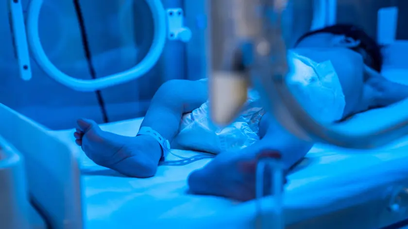 L'ospedale vanta 23 incubatrici nel reparto di terapia intensiva neonatale. Sono 500 i bambini ricoverati presso l'ospedale infantile della Mezzaluna Rossa siriana di Aleppo. Molti sono arrivati a causa del terremoto, ma sono stati inseriti in appositi programmi per il malnutrimento. Siria, Aleppo, 15 aprile 2023 ANSA/JESSICA PASQUALON
