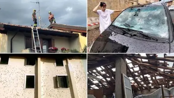 Alcune immagini dei danni provocati dalla grandine in Friuli nel 2023