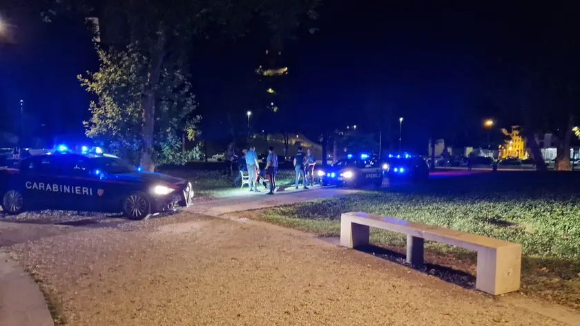 L'intervento delle forze dell'ordine in piazza Primo Maggio a Udine (foto Petrussi)