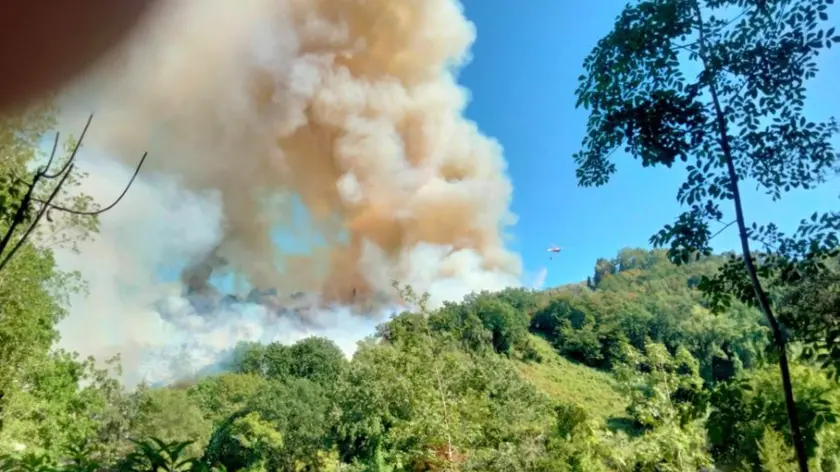 Incendio su colline Versilia, notizia data ore 17.06 circa