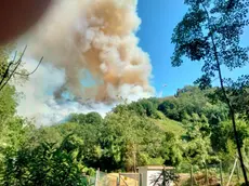 Incendio su colline Versilia, notizia data ore 17.06 circa