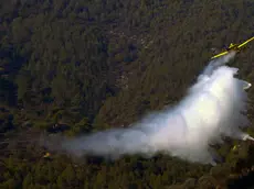 epa11511284 A firefighting plane drops water to cool the perimeter area of the Benasau forest fire in Alicante, Spain, 31 July 2024. Hundreds of people have been evacuated and roads have been cut off as a result of the fire. EPA/MORELL