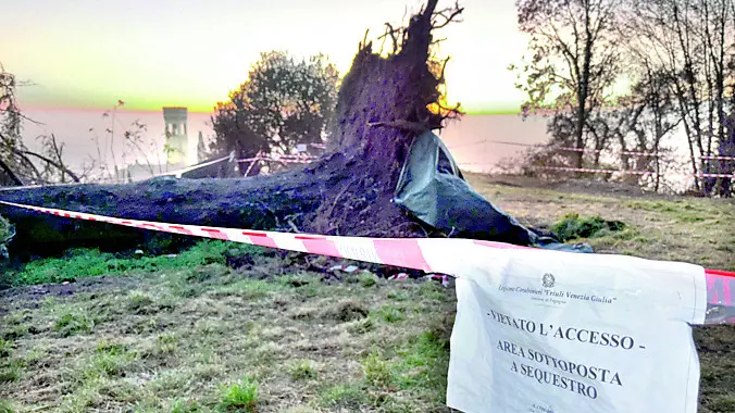 L’area posta sotto sequestro sulla collina di Bisic a Fagagna dove sono stati trovati i resti di due scheletri. Foto Petrussi