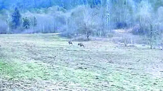 Un fermo immagine del video inviato dalla lettrice