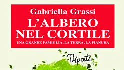 L’albero nel cortile di Gabriella Grassi. Edizioni Biblioteca dell’immagine