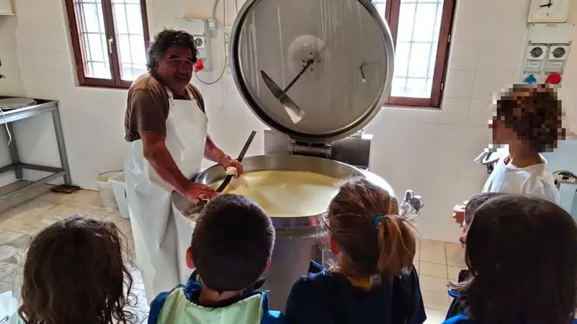 Ennio Colomba mentre insegna ai bambini il lavoro caseario (Foto Facebook)