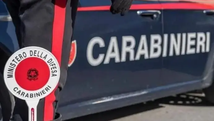 I due arresti sono stati eseguiti dai carabinieri del Nucleo investigativo provinciale di Pordenone