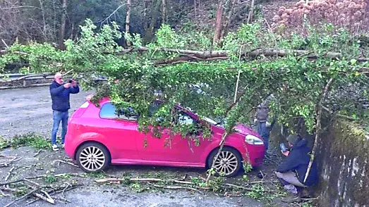 L’albero finito sopra un’auto a Poffabro, frazione di Frisanco