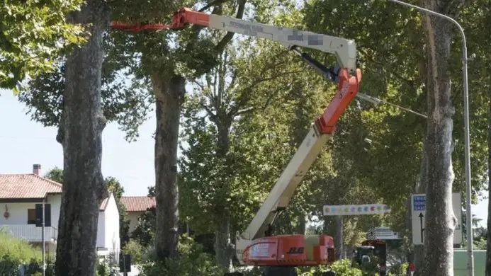 La ditta si era aggiudicata l’appalto triennale 2023-2025 per la potatura degli alberi