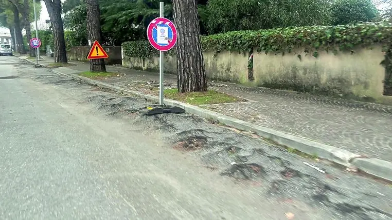 Viale Cadore: le radici degli alberi hanno danneggiato sia la strada, sia i marciapiedi