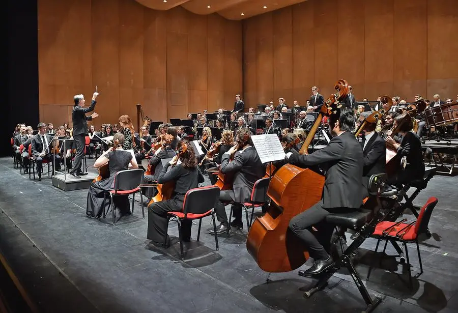 Dalla cerimonia di Aned al parco della Rimembranza fino alla consegna delle medaglie d'onore ai familiari degli internatati militari dopo l'Armistizio in Prefettura e al concerto al Giovanni da Udine. Ecco le immagini della ricorrenza in città. Foto Petrussi