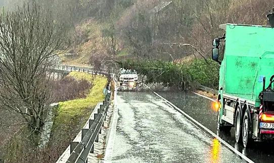 La strada verso Paularo subito prima del bivio per Salino