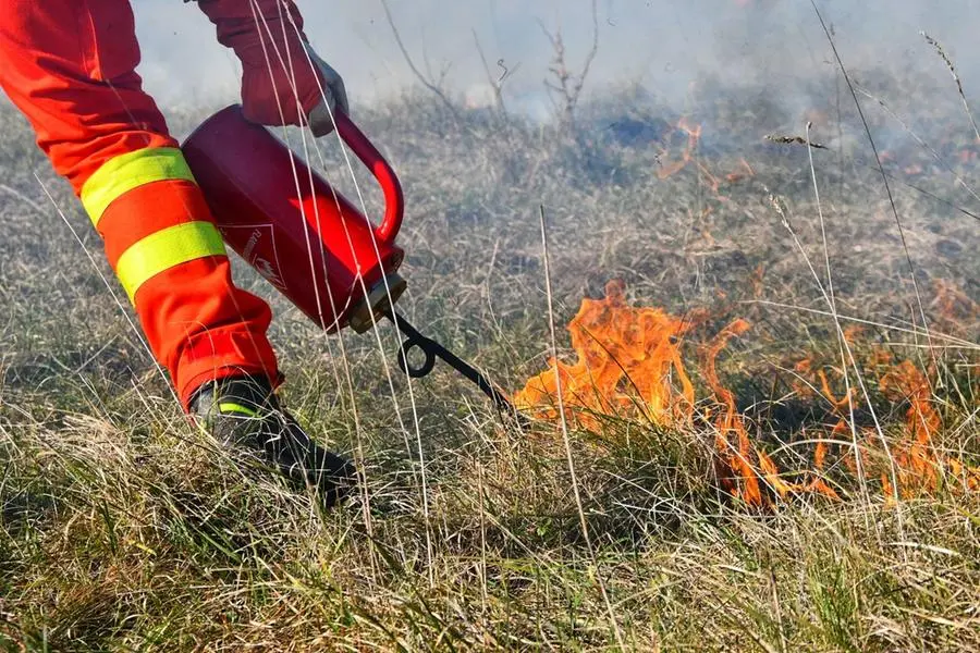 Il corpo forestale impegnato nell'attività del fuoco prescritto, il 6 febbraio a San Vito al Tagliamento. Foto Dario Cancian