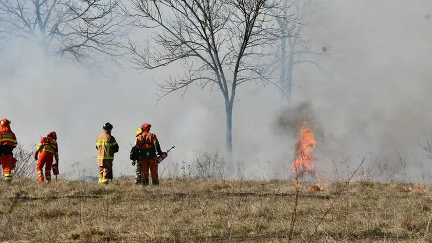 I forestali impegnati nella tecnica del fuoco prescritto il 6 febbraio a San Vito al Tagliamento