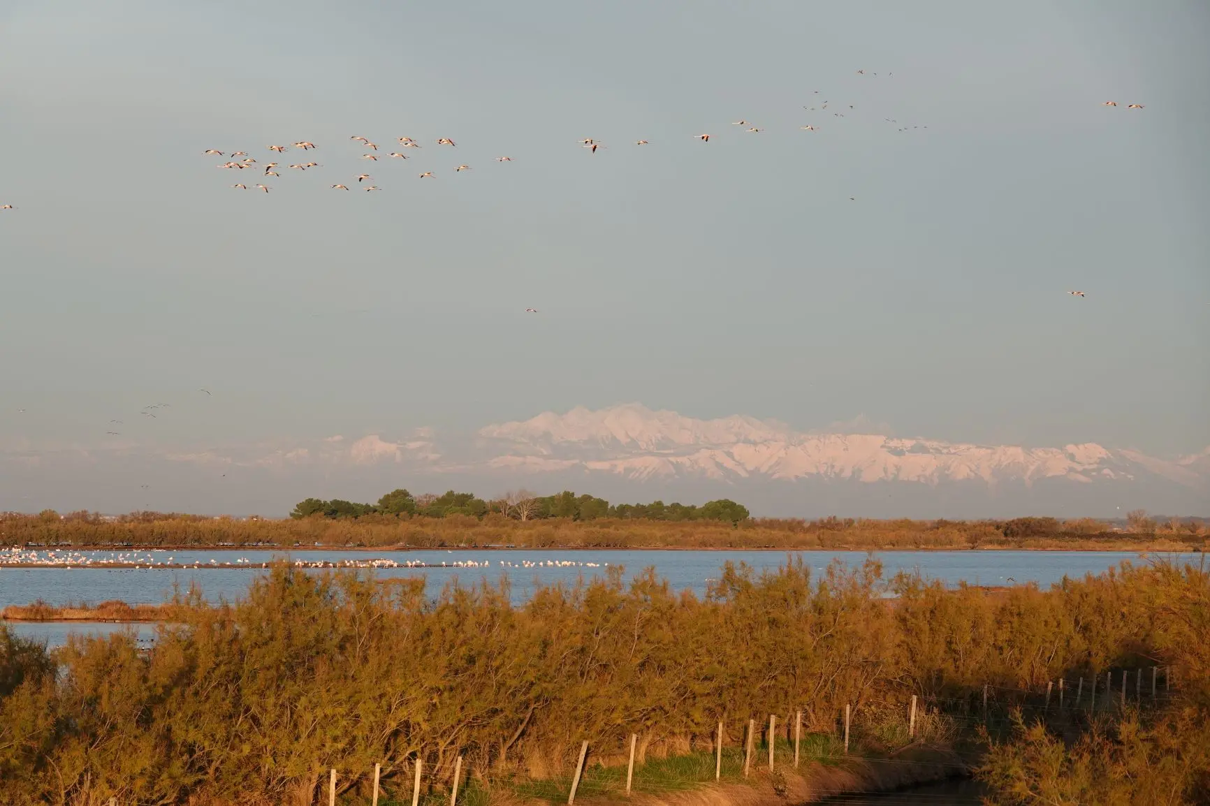 Valle Noghera