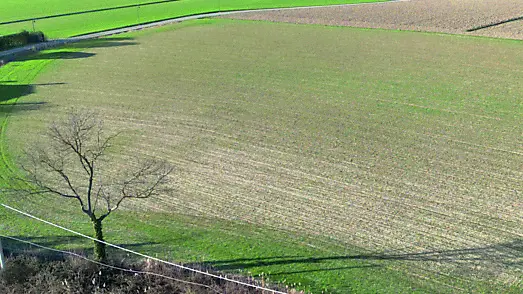 L’area interessata dal progetto per il nuovo impianto agrivoltaico nella Bassa